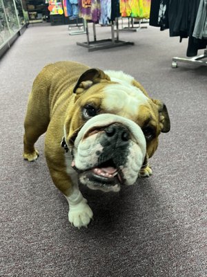 I'D Hit That Smokin Glass