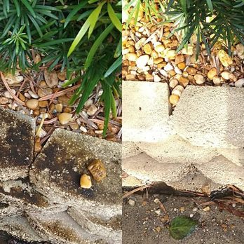 All-In Cleaning - Paver Pressure Washing - Home Cleaning Near Me - North Port, Florida All-In Cleaning - Paver Pressure Washing - Home Cleaning Near Me - North Port, Florida
