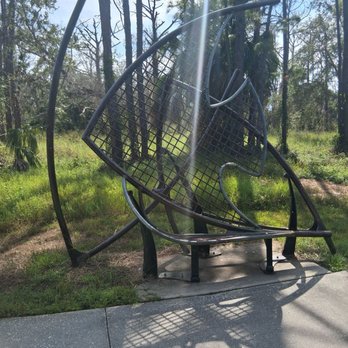 Wall Springs Park - Fish bench - Parks Near Me - Palm Harbor, Florida Wall Springs Park - Fish bench - Parks Near Me - Palm Harbor, Florida