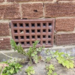 Gateway Cafe - This air brick needed mesh to restrict a mouse infestation