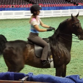Kentucky State Fair - Championship Horse practice - Stadiums & Arenas Near Me - Louisville, Kentucky Kentucky State Fair - Championship Horse practice - Stadiums & Arenas Near Me - Louisville, Kentucky