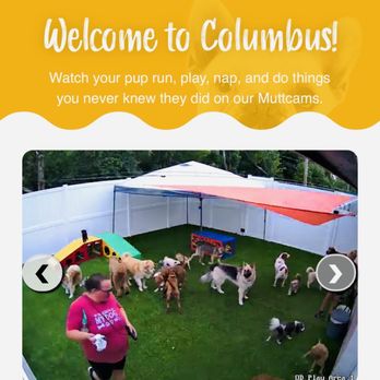 CAMP RUN-A-MUTT COLUMBUS - Updated February 2026 - 56 Photos & 11