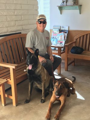 affordable animal hospital of orange