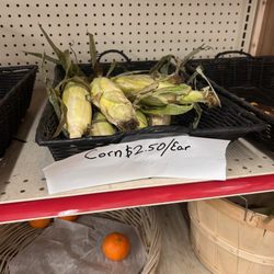 White Duck Country Market - Dried up corn for $2.50 an ear