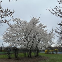 Newark Riverfront Park