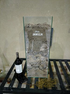Casarena Bodega y Viñedos by null