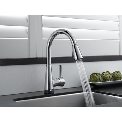 Slide of Roots Be Gone