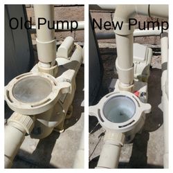 Blue Reef Pool Service - Pool pump replacement for a customer.