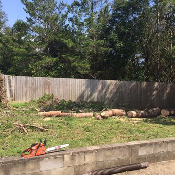 Tru-Trim Outdoor Services - All cut up - Lawn Services Near Me