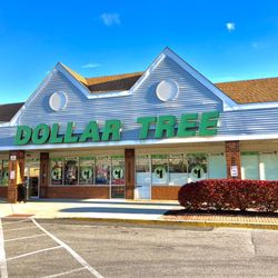 Dollar Tree - Dollar Tree