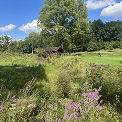 Radrick Farms Golf Course