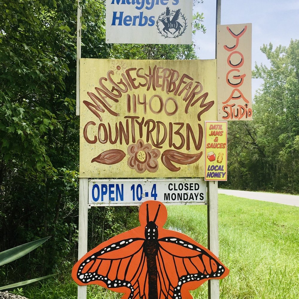 Maggie's Herb Farm - Kool only closed Monday open 10-4 - Nurseries & Gardening Near Me - Saint Augustine, Florida Maggie's Herb Farm - Kool only closed Monday open 10-4 - Nurseries & Gardening Near Me - Saint Augustine, Florida