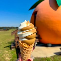Sunsational Farms