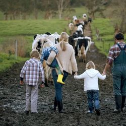 Mind Your Body Centers - Farming trip