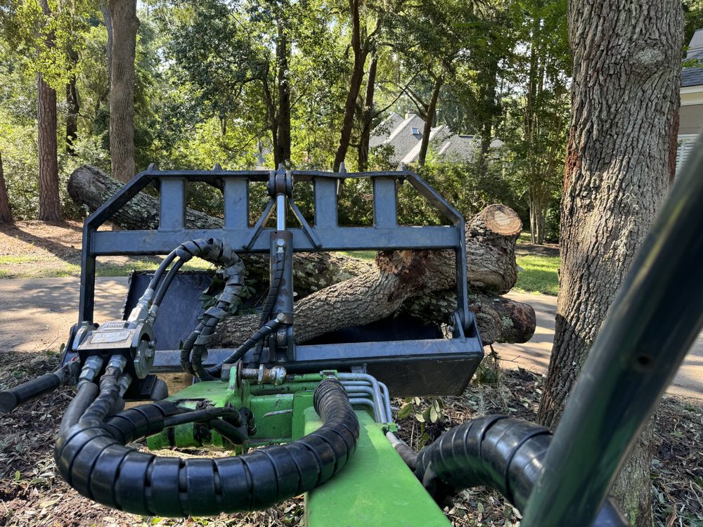G Tree Service N Landscaping - tree service in Savannah, GA