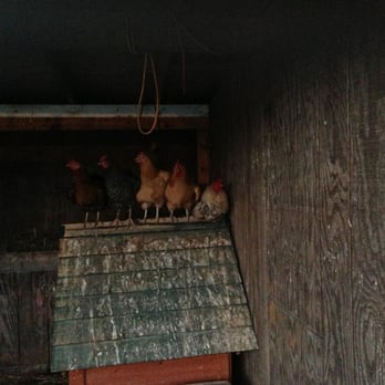 The Kaaterskill - Chickens! - Venues & Event Spaces Near Me - Catskill, New York