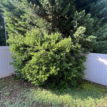 Prime Property Services - Landscaping Near Me - Simpsonville, South Carolina Prime Property Services - Landscaping Near Me - Simpsonville, South Carolina