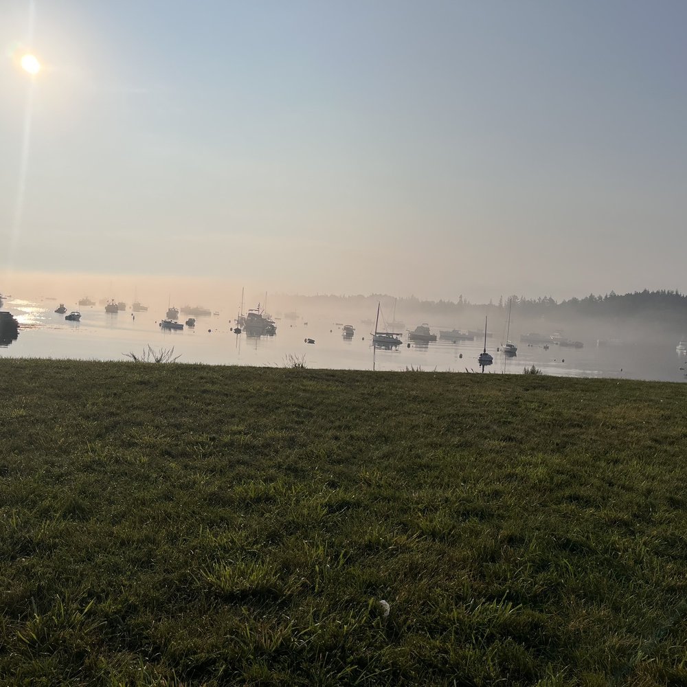 Fog rolling out in the AM
