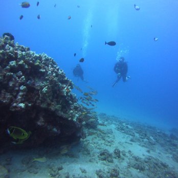 Sammy Scuba Diving - Scuba Diving Near Me - Lahaina, Hawaii Sammy Scuba Diving - Scuba Diving Near Me - Lahaina, Hawaii
