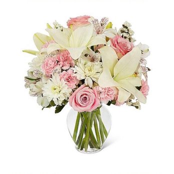 Rocio Flower Shop - Florists Near Me - Sunrise, Florida Rocio Flower Shop - Florists Near Me - Sunrise, Florida