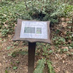 Forest Ridge Park