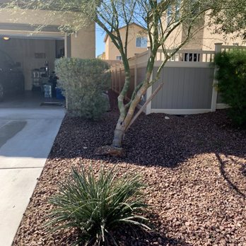 Multi Cultural Tree & Lawn Services - front yard - Tree Services Near Me Multi Cultural Tree & Lawn Services - front yard - Tree Services Near Me