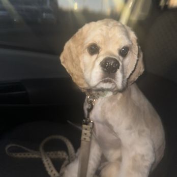Petbar Alliance - Pet Groomers Near Me - Fort Worth, Texas Petbar Alliance - Pet Groomers Near Me - Fort Worth, Texas