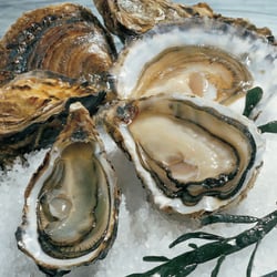 Bistrot de l'Huître - Chez Joël D - Bistrot de l'Huître - Chez Joël D