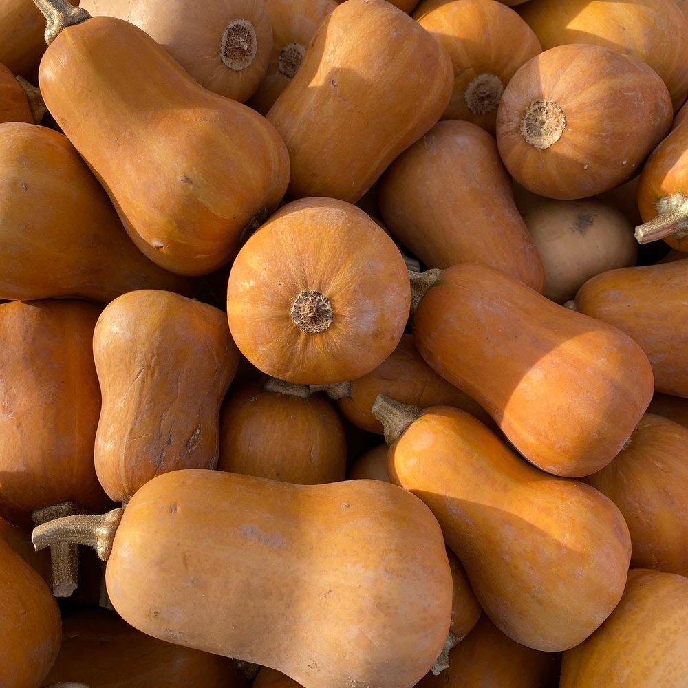 BORBA FARMS Updated September 2024 17 Photos 68 Corey Rd, Aromas