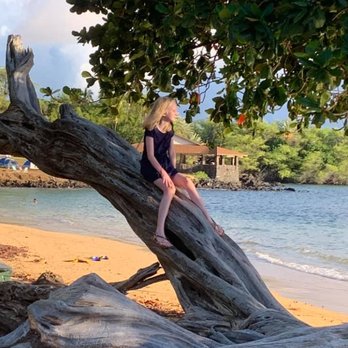 Christopher Wren Photography - Candid shot of granddaughter sitting on a favorite tree - Event Photography Near Me
