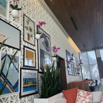 Rose’s Coffee Bar - Decor - Coffee & Tea Near Me - Fort Lauderdale, Florida Rose’s Coffee Bar - Decor - Coffee & Tea Near Me - Fort Lauderdale, Florida