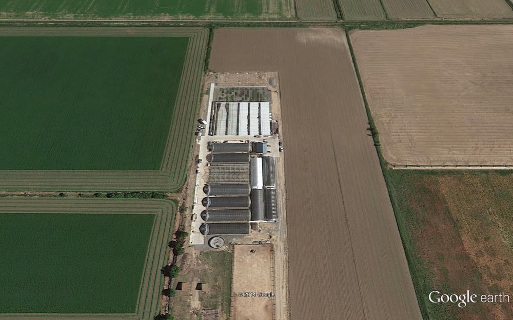 BUTTERFIELD GARDENS GROUND COVER Updated October 2024 9119 Monroe