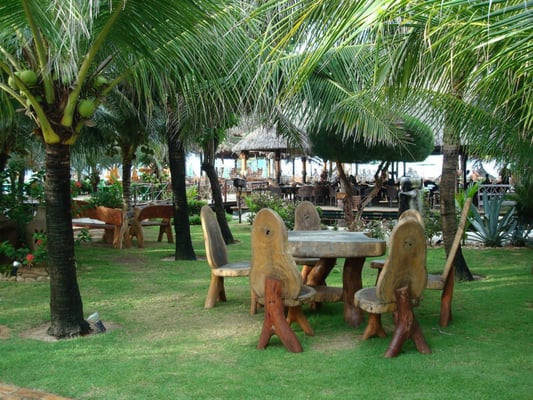 Crocobeach by null