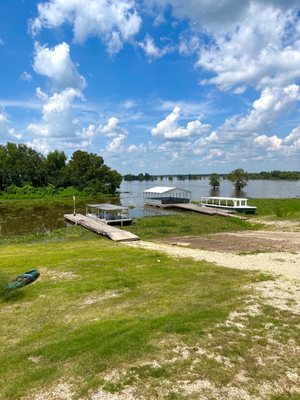 McGee's Louisiana Swamp & Airboat Tours by null