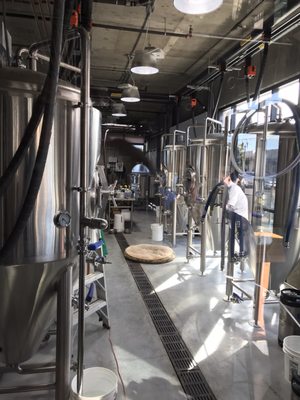 Burnin Daylight Brewing Company by null