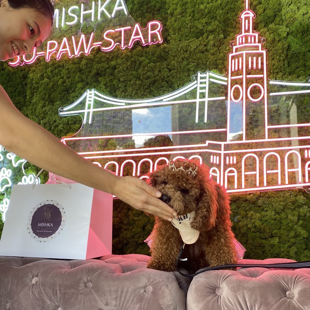 Mishka - So sweet how the workers give your fur baby treats, she loved it - Pet Stores Near Me - San Francisco, California Mishka - So sweet how the workers give your fur baby treats, she loved it - Pet Stores Near Me - San Francisco, California