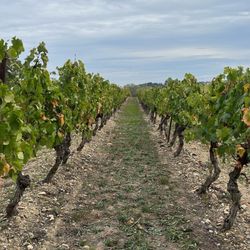 Château Auzias Paretlongue