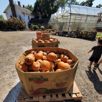 Blossoming Acres Putnam Farm - Pumpkins - Bakeries Near Me - Southwick, Massachusetts