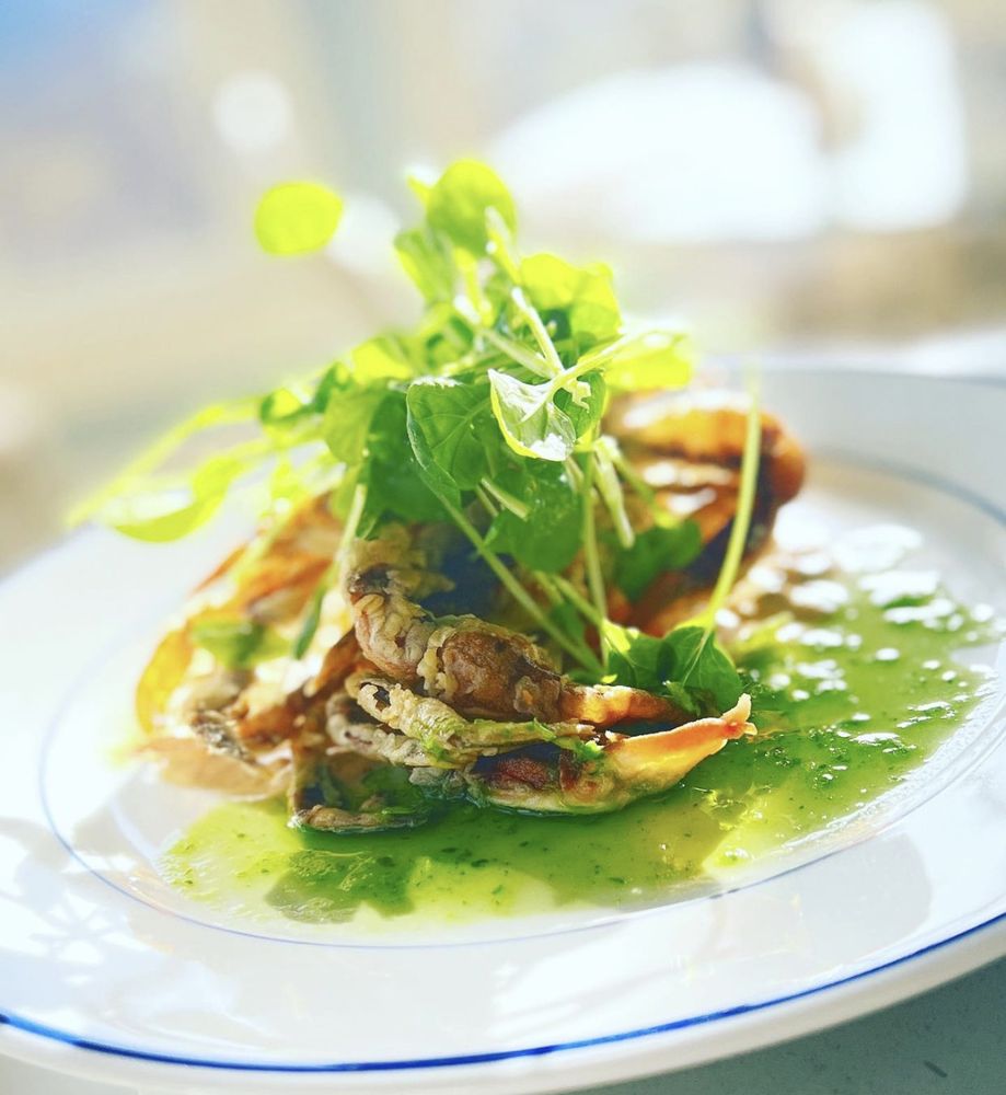 MY CHARLESTON CHEF 10 Photos Charleston, South Carolina Cooking