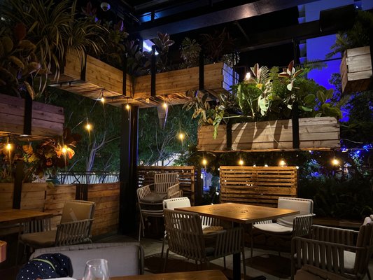 Herringbone Waikiki by null
