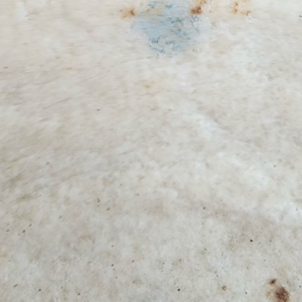 Canelas Placita - Mold - Mexican Near Me - Peoria, Arizona