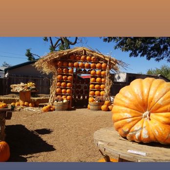 Sons Farm Fresh - Pumpkin house - Fruits & Veggies Near Me - Oakdale, California Sons Farm Fresh - Pumpkin house - Fruits & Veggies Near Me - Oakdale, California