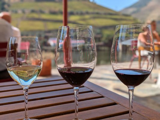 Quinta do Bomfim by null