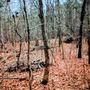 Photo of Randy Battles - RealtySouth