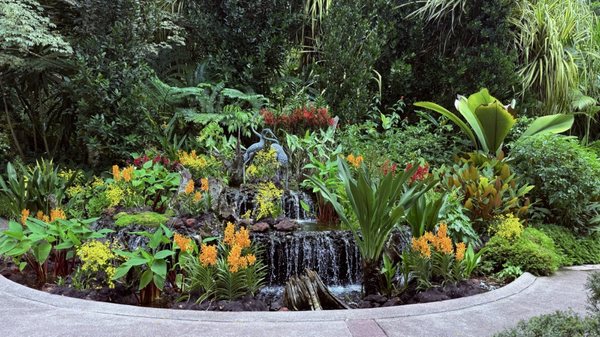 Singapore Botanic Gardens by null