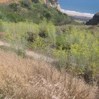 Palisades Bluffs Park - the path down - Parks Near Me - Pacific Palisades, California Palisades Bluffs Park - the path down - Parks Near Me - Pacific Palisades, California