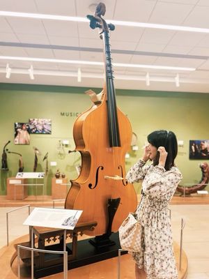 Musical Instrument Museum by null