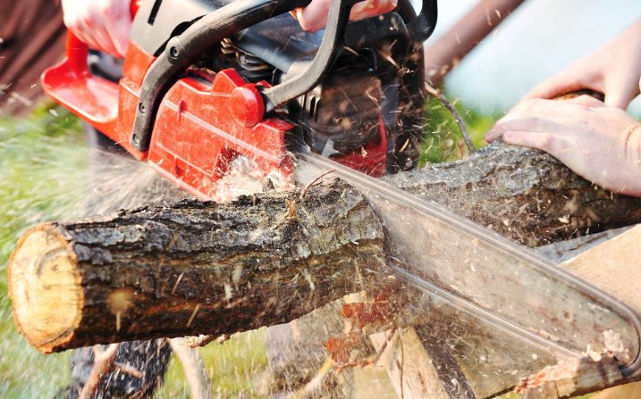 S & J Tree Service - tree service in Grand Rapids, MI