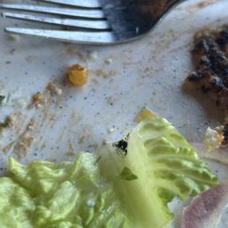 Dirty lettuce