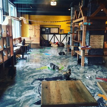 Seattle Meowtropolitan - Kitties! - Themed Cafes Near Me - Seattle, Washington Seattle Meowtropolitan - Kitties! - Themed Cafes Near Me - Seattle, Washington